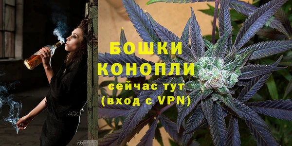 трава Магас