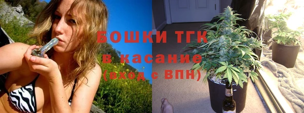 молекула духа Майский
