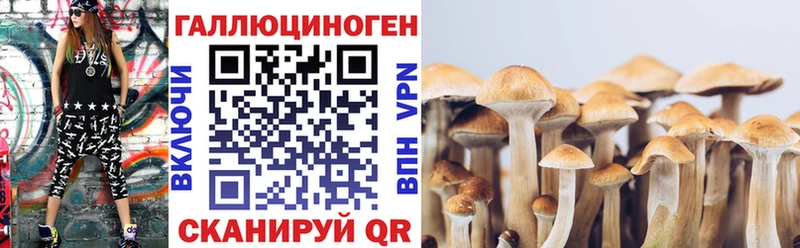 Псилоцибиновые грибы мицелий  Купить  Еманжелинск 